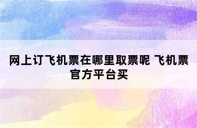 网上订飞机票在哪里取票呢 飞机票官方平台买